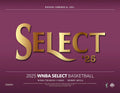 2025 Panini Select WNBA Basketball Hobby Mega 20 Box Case - Green Ice Prizms